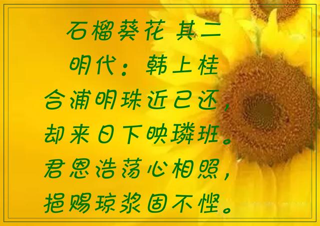 傲阳的诗句大全，倾阳丹心独自在