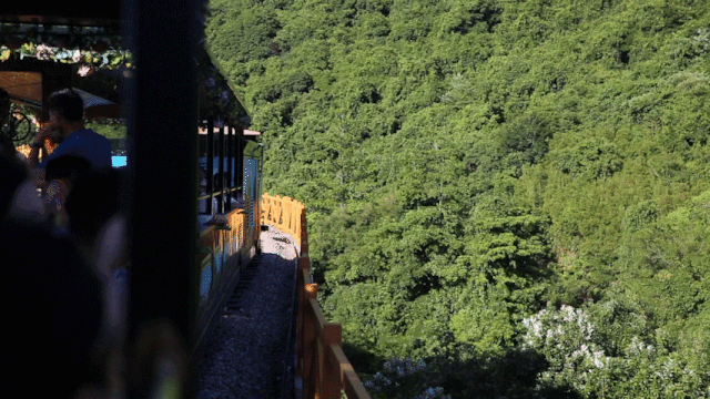 东部华侨城亲子游攻略，六一儿童节带孩子玩东部华侨城就是想给孩子留下童年的回忆