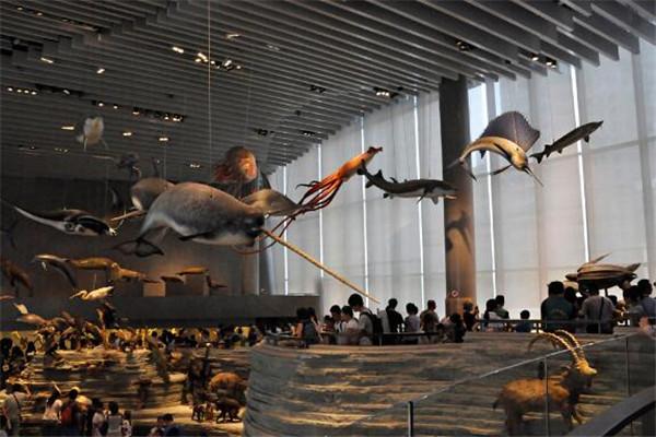 上海动漫博物馆，上海哪些博物馆值得去（没去过这几家动漫博物馆）