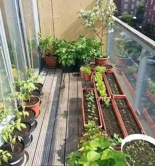 高温堆肥比例方法教程图解，超好用的堆肥技术
