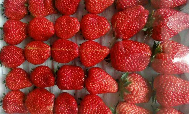 辽宁的物产有哪些，辽宁特有的水果