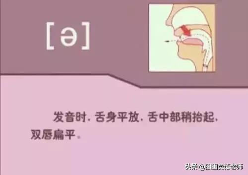 英语音标怎么学，初学英语者必看如何学习国际音标（资深老教师说：音标就该这样学）