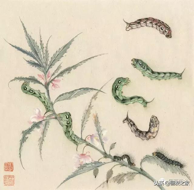 九尾狐最简单的画法教学，逐花之虫蝶蜂画法示范