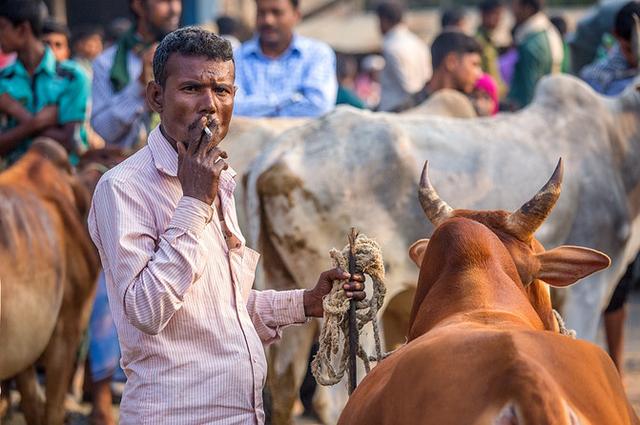 孟加拉国很穷吗，孟加拉国为什么又穷又脏