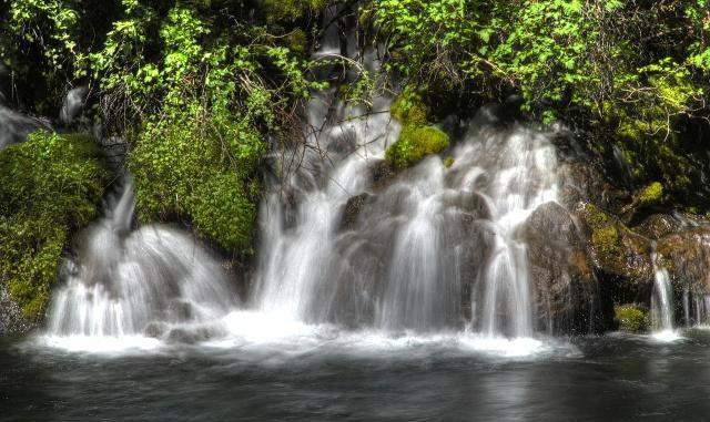 朱子家训十句精辟，朱子家训中的这五句格言
