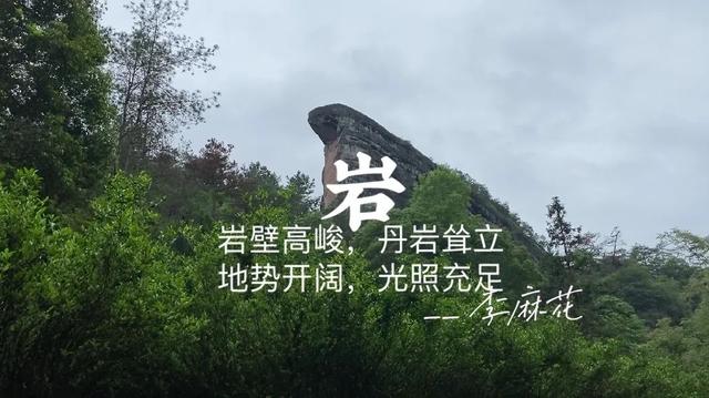 牛栏坑肉桂特点，岩茶天花板——R8牛栏坑肉桂