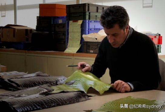 爱马仕birkin各种颜色，希希说大牌爱马仕三大金刚birkin
