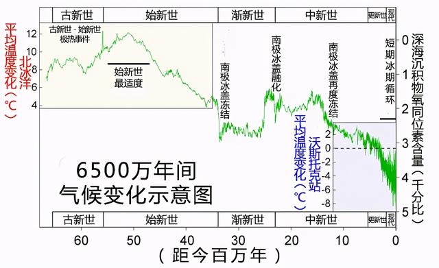 南极高温纪录年份，南极大陆频现极端气温