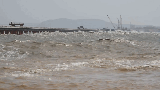 世界最长的三大跨海大桥，世界最长跨海公铁大桥什么样