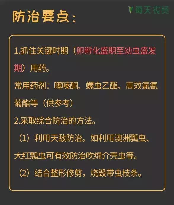 常见蚧类害虫汇总，蚧虫类虫害