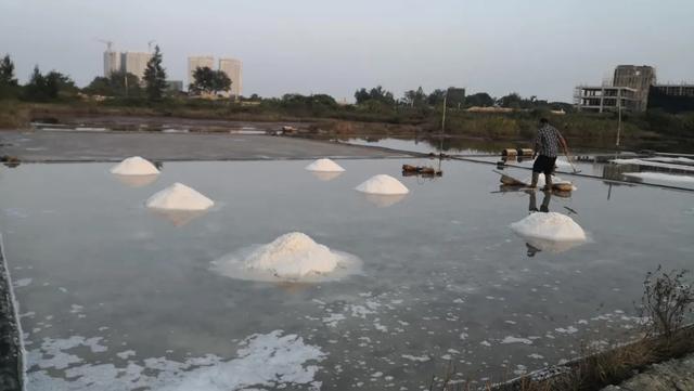 我国四大盐场南北晒盐有利条件，有兴趣可到惠东老盐场看千年制盐工艺