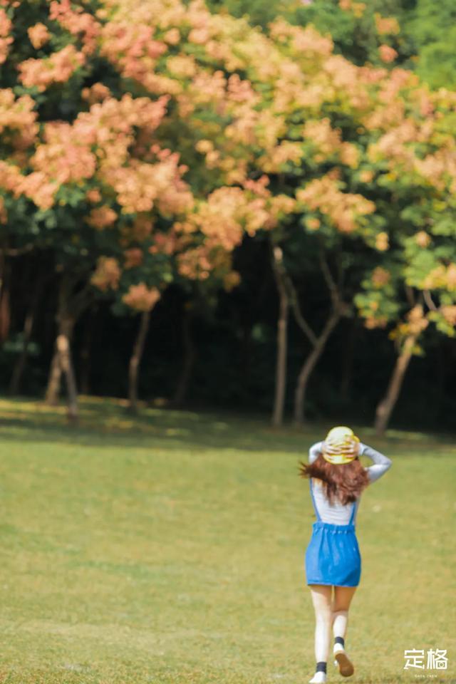 莲花山公园 网红打卡地，莲花山公园又红了