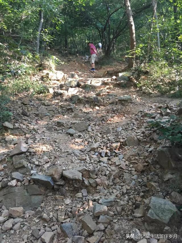 南京小众景点紫金山，登南京紫金山游记