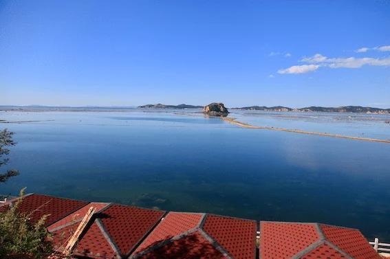 去大连赶海玩的攻略，东北大连哈仙岛