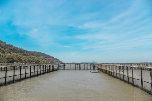 大陈岛旅游攻略浙江，台州旅游攻略沉溺在大陈岛的海天一线