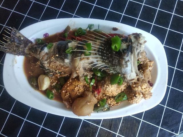 好养的淡水食用鱼，中国十种常见的食用鱼