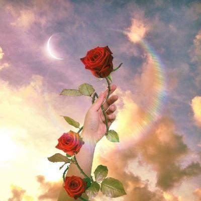 中年女性微信头像，中年女性的微信头像应该选哪些