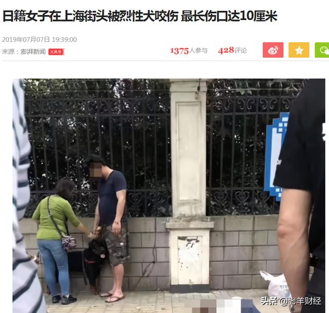 恶霸犬是烈性犬吗，烈性犬都有哪几种（彪悍的外表下竟是一颗温柔的心）