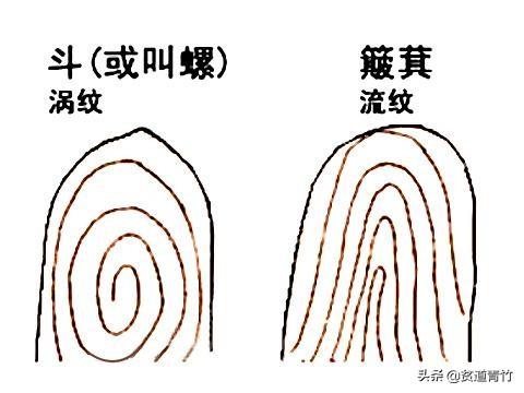 九斗一簸箕有什么说法，九个斗1个簸箕代表什么（农村有句话“九斗一簸箕）