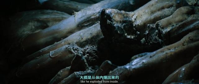 异形是怎么进化的，异形到底是几代人的童年阴影