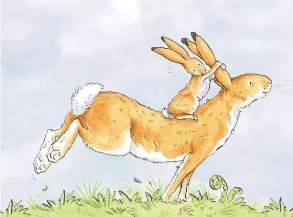 兔字家族毚馋，兔的由来