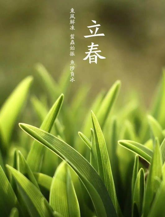 躲春有什么意思吗，立春意味着春天到了吗