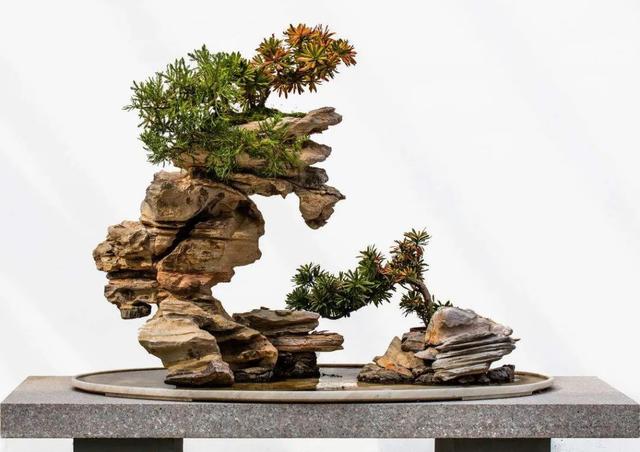 山水石盆景制作图解，将大自然景象融入盆景