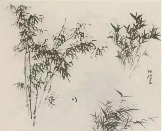 树怎么画简单又好看，如何画树简单又漂亮（水彩唯美风景画，手把手教你画）
