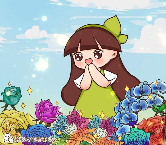 常见的盆栽紫色花有哪些，养花也要紧跟潮流