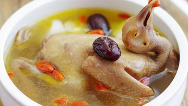 枸杞炖鸽子家庭简单做法，鸽子炖枸杞补什么