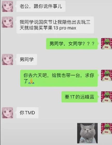 我家的猫会后空翻，你家猫会不会后空翻是什么梗（没有烦恼。我家猫会后空翻）