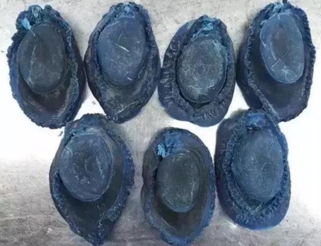 20种鲍鱼种类，世界鲍鱼品种大全