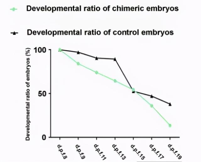 世界首例体细胞克隆猴，中国科学家创建世界首例生物节律紊乱体细胞克隆猴模型