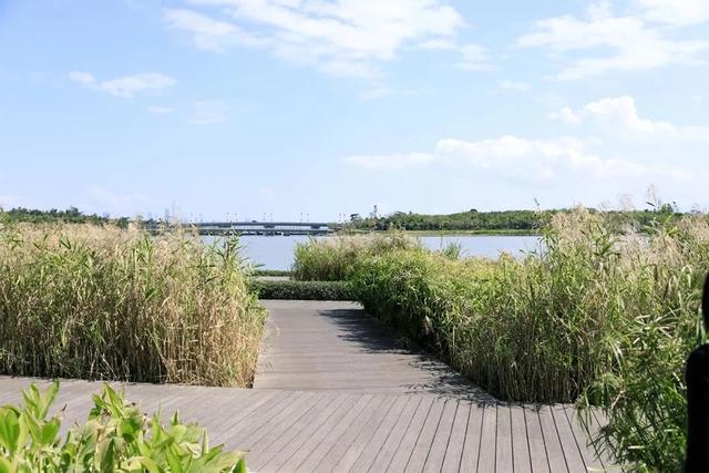 深圳哪个海边值得去，深圳私藏的10个看海好去处