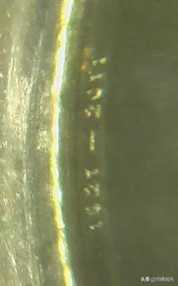 早期纪念币怎么收藏，新人学习收藏纪念币的五个建议