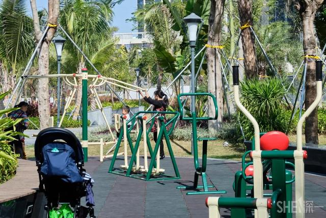 深圳湾海滨公园，冬天深圳湾海滨公园（深圳值得去的70个公园）