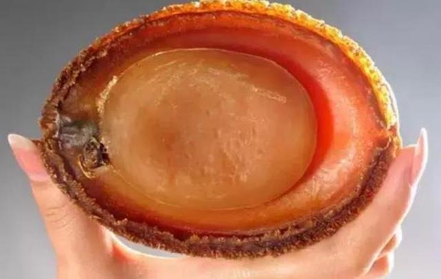 20种鲍鱼种类，世界鲍鱼品种大全