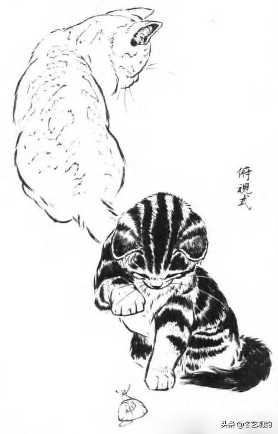 100种小猫怎么画，100种画真猫的画法（教你在纸上养个主子）