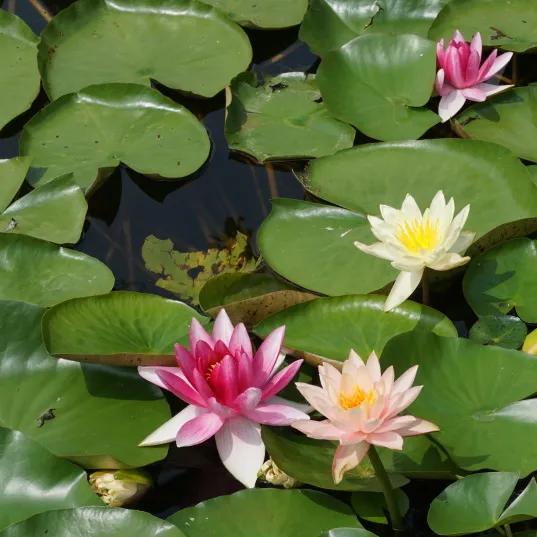 北京必玩景点排名，北京必玩的十个景点排名榜单（北京最值得去的12个景区）