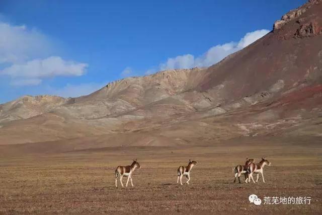 穿越羌塘无人区需要哪些准备，那些穿越羌塘无人区的冒险者们