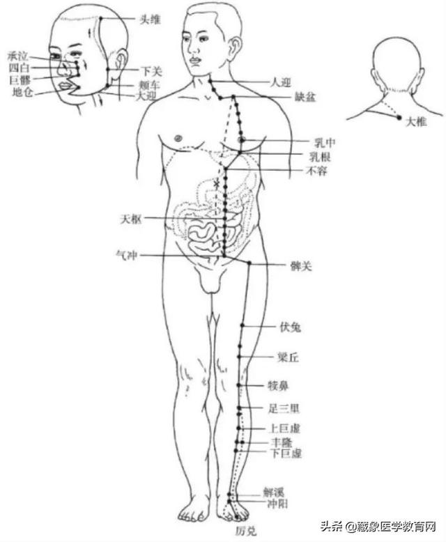 十二经络循行路线，十二经脉循行走向与交接规律图解（<十分钟教你终生不忘）