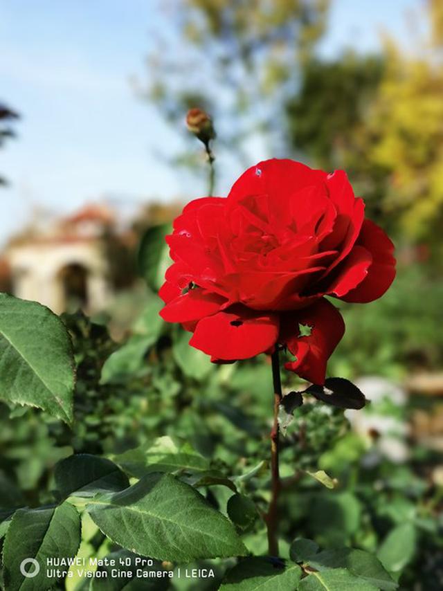 mate40pro，华为mate40pro深度测评优缺点