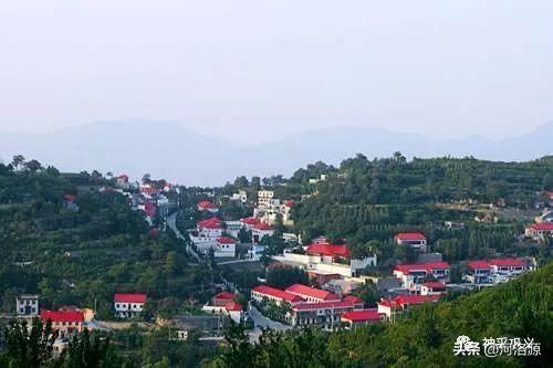 流苏树是什么树，流苏树的形态特征介绍