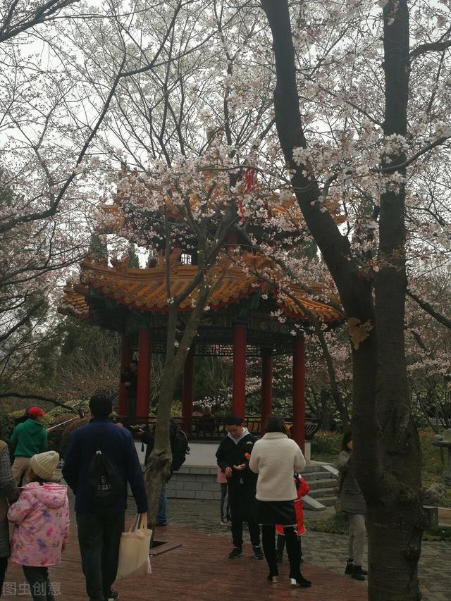 徐州值得去的旅游景点，江苏徐州最值得去的十五个地方