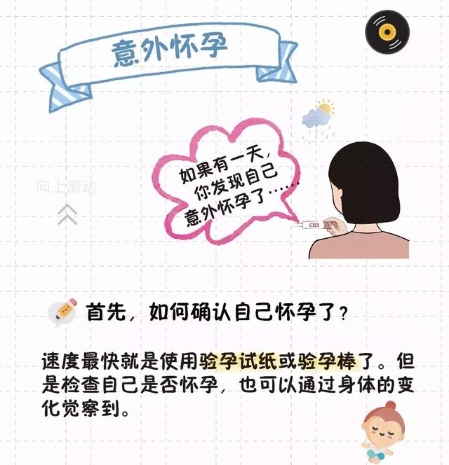 猫的生育常识和技巧，最全的入门级生育指南