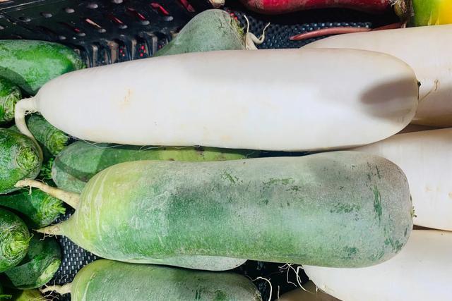 白萝卜选购技巧，白萝卜批发价格多少钱一斤