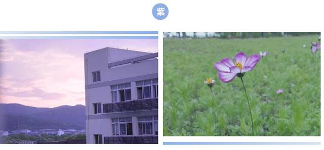 苏州市区的职业学院，这里是苏州市职业大学