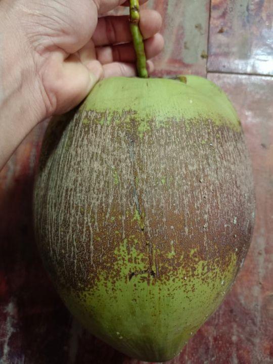 为什么很多人去印尼打工，记录印尼打工生活点滴