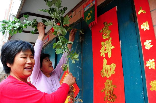 端午节插艾草的习俗介绍，端午插艾草需要注意三点细节