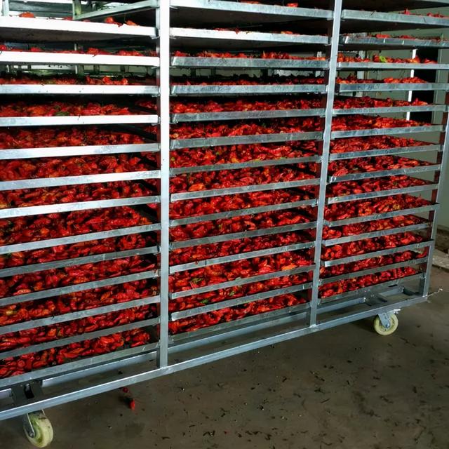 工业辣椒辣椒界的战狼，线辣椒性能